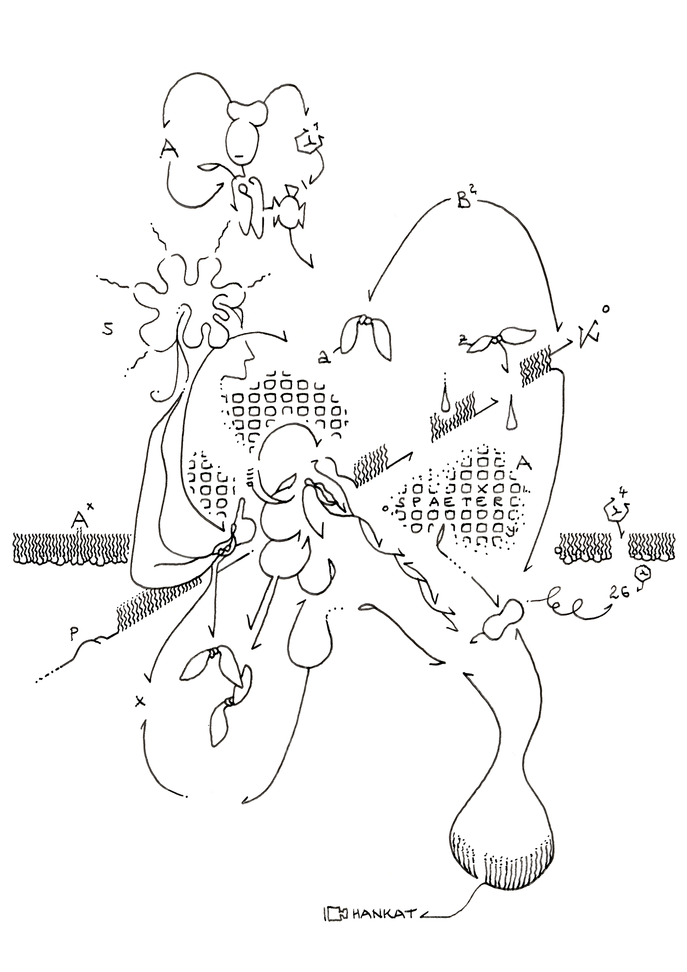 Hannes Kater  Tageszeichnung (Zeichnung/drawing) vom 09.01.2026 (1414 x 2000 Pixel)