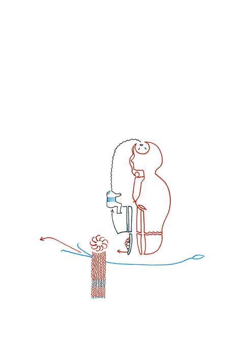 Hannes Kater - Zeichnung f&uuml;r den 31-01-2008