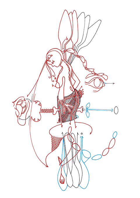 Tageszeichnung f&uuml;r den 03.08.2009